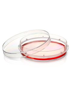 Nunc EasYDish Dishes with Nunclon Supra Surface