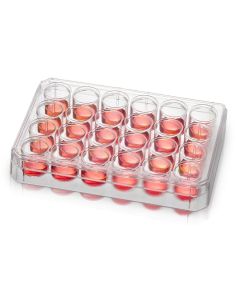 Thermo Scientific Nunc Poly-D-Lysine Or Collagen I Coated Multidishes - 152025