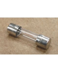 THERMO 230107 FUSE,100MA,T.D.,5 X 20 MM