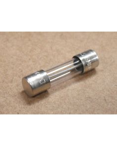 THERMO 230149 FUSE0.40A TD UL 198G/CSA