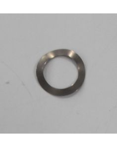 THERMO 23045 5/16 SS SPRING STL WASHER
