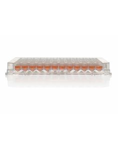 Nunc 96-Well Polystyrene Conical Bottom MicroWell Plates