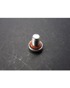 THERMO 250006401 SCREW MA 8-32X.25 SS SL GSK