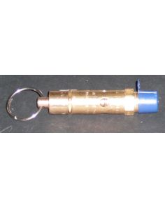 THERMO 250052401 VALVE RELIEF 45PSI KINGSTON