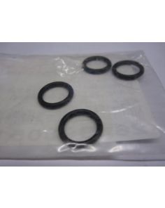 THERMO 260063051 O-RING(SET OF 4) 6-30-5 RPO