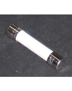 THERMO 261574 FUSE DB .25X1.25 10A 250V