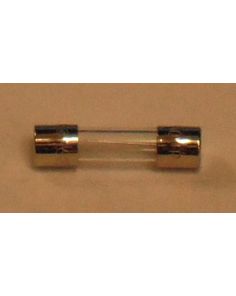 THERMO 264306 FUSE TL 5X20 8A