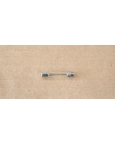 THERMO 285624 GLASS FUSE 1AMP.