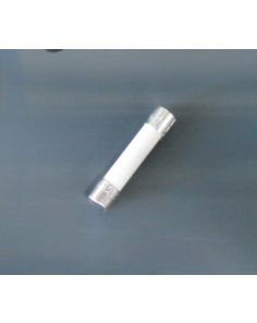 THERMO 285628 CERAMIC FUSE 5AMP. 3AB