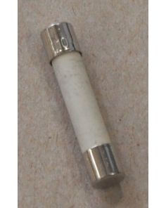 THERMO 285633 CERAMIC FUSE 10AMP. 3AB
