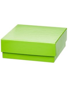 Thermo Scientific 1950882 2" Green Fiberboard Boxes 12 pk