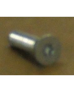 THERMO 300138H01 SCREW 1/4-20x1 TORX FH GR5 ZIN