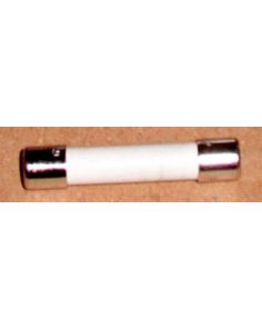 THERMO 303308H01 FUSE SLO-BLO 15A 3AB 250V