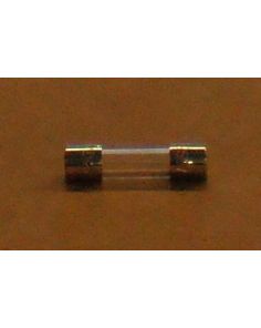 THERMO 303309H01 FUSE SLO-BLO 1A 5X20mm 250V