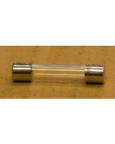 THERMO 3167193 KIT-FUSE-1/4AMP/250V