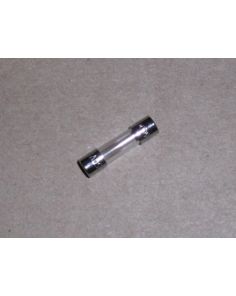 THERMO 3172442 Fuse 5 x 20 (220 V)