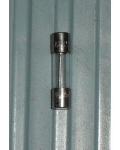 THERMO 3172450 Fuse 10 amp SLOW