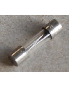THERMO 3172461 Fuse 2A (dc supply)