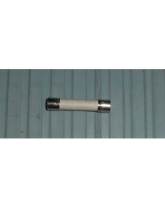 THERMO 3175948 FUSE-20A SLOBLO-8000DSE
