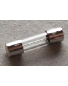 THERMO 3175950 FUSE-10A SLO-BL-5X20MM