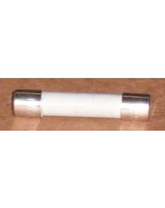 THERMO 403400R FUSES 4 AMP-SLO BLO