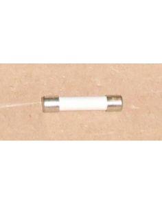 THERMO 407940R FUSE 2A 250V SLO-BLOW