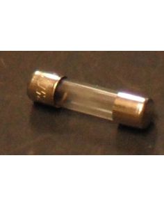 THERMO 410124 FUSE FA .25 X 1 .25A 250V RPO
