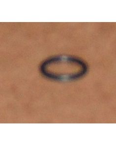 THERMO 45270 O-RINGVERTICAL MICRO ROTORS