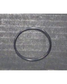 THERMO 45293 ORING LG RP120AT