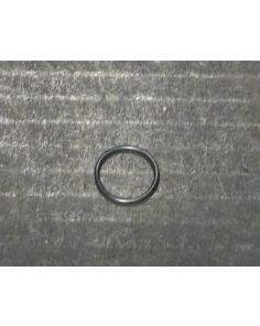 THERMO 45294 O-Ring Lid Small PK/2