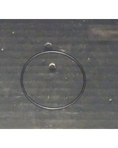 THERMO 45704 O-Ring Lid Large PK/2