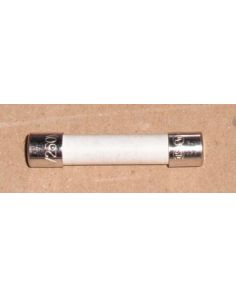 THERMO 470570R FUSE SLO-BLO 10 AMP 250V