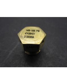 THERMO 47438H01 RUPTURE DISC