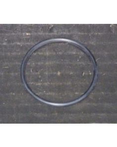 THERMO 484301 O-ring2bearing housingTCF-32