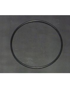 THERMO 4852163 O RING