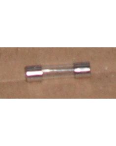 THERMO 499980R FUSE-SLO-BLO 10 AMP