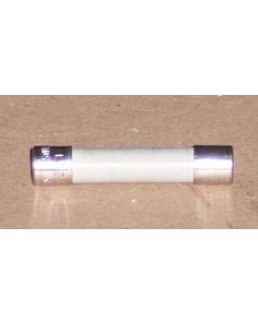 THERMO 50034779 MAIN FUSE