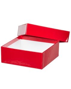 Thermo Scientific 1950880 2" Red Fiberboard Boxes 12 pk
