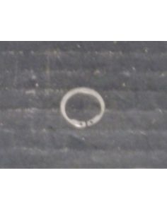 THERMO 60067 RETAINING RINGEXT SST 0.461 F