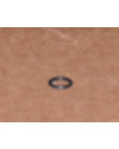 THERMO 61289 O-RING 0.313X0.063