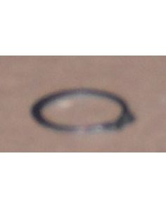 THERMO 64639 RETAINING RING