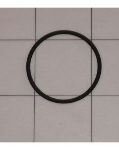 THERMO 64667 O-Ring Lid Lock Nut EA