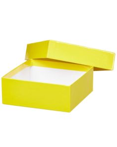 Thermo Scientific 1950881 2" Yellow Fiberboard Box 12 pk