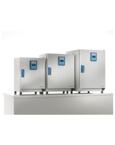 51028874