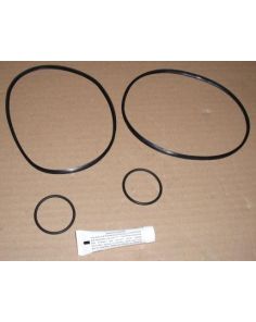 THERMO 75003268 O-RING SET