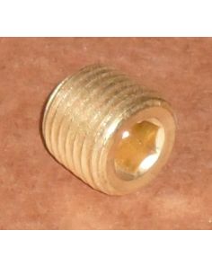 THERMO 800010 1/4MPT BRASS PIPE PLUG