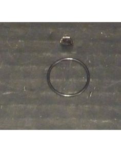 THERMO 8062222 O-Ring Rotor Bottom TCF-32 PK/2