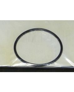 THERMO 8062238 O-ring 1/pkg