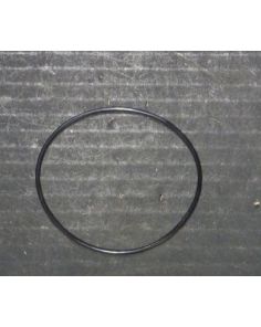 THERMO 8062270 O Ring Large S-55A Cover