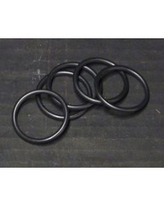 THERMO 84521019 O RING ASSY
